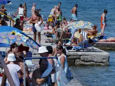 sterle trieste muggia spiagge punta olmi