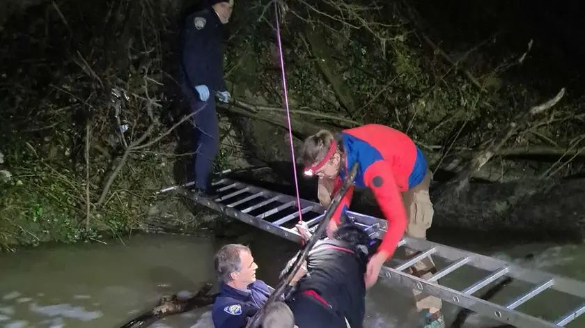 I soccorsi in azione (Foto Polizia slovena)