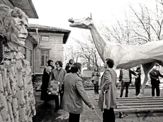 Marco Cavallo all’esterno del Padiglione P dell’Opp di San Giovanni prima della discesa in città. (foto di Claudio Ernè, 25 febbraio 1973)
