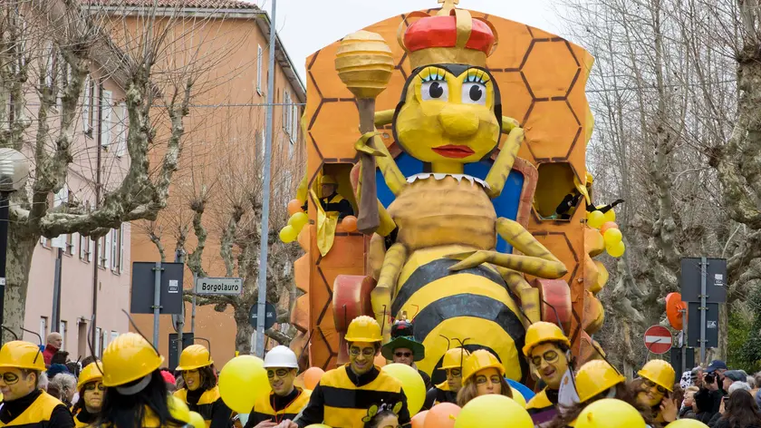 Un'immagine della passata edizione del Carnevale di Muggia