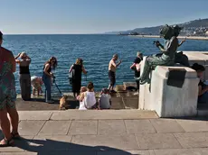 Foto di Andrea Lasorte