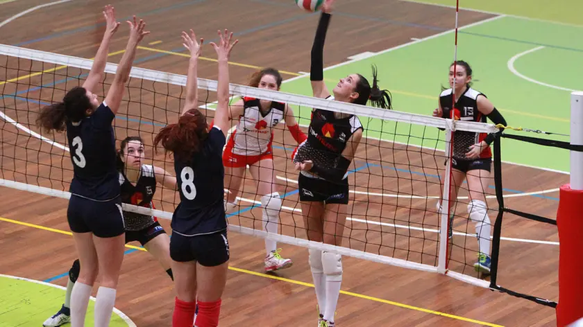 Lasorte Trieste 19/12/15 - Pallavolo, Simagas blu - TIM Music nero