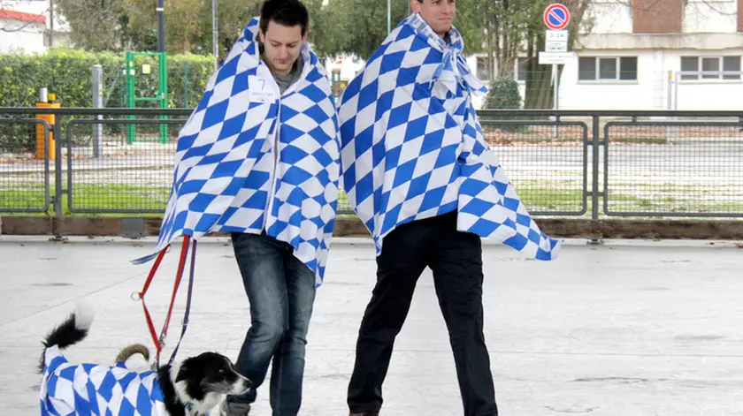 Bonaventura Monfalcone-07.02.2016 Carnevale degli animali-Palazzetto Filipput-Ronchi dei Legionari-foto di Katia Bonaventura