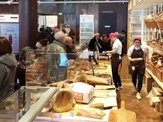 Lasorte Trieste 22/01/17 - Eataly