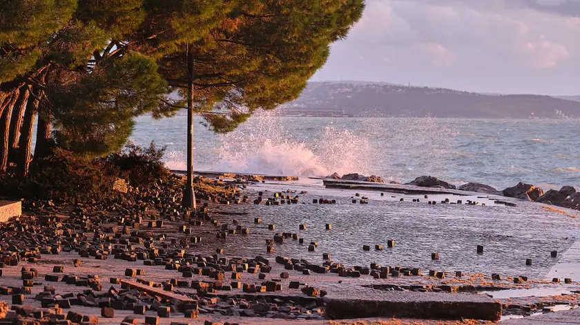 La Pineta di Barcola dopo la mareggiata di novembre (Massimo Silvano)