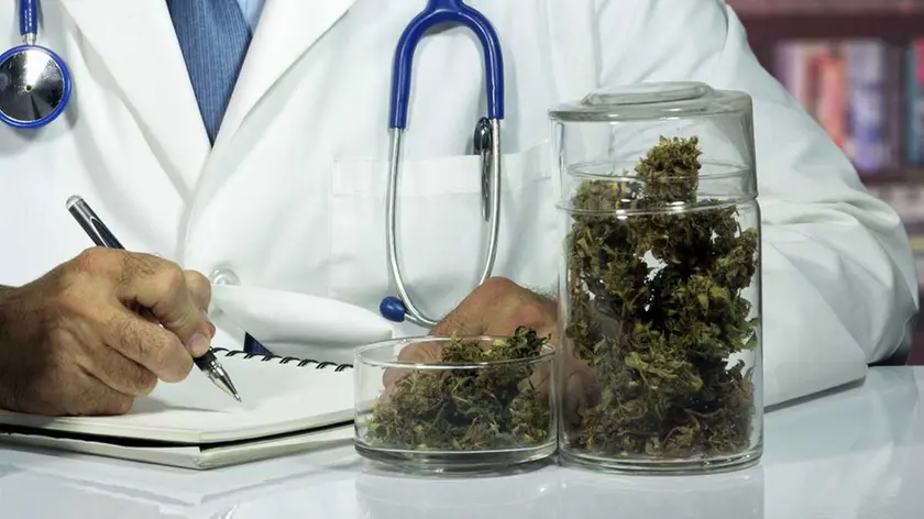 Una medico alle prese con una prescrizione di cannabis terapeutica