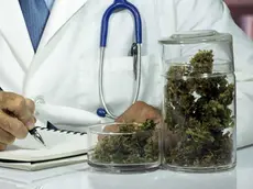 Una medico alle prese con una prescrizione di cannabis terapeutica