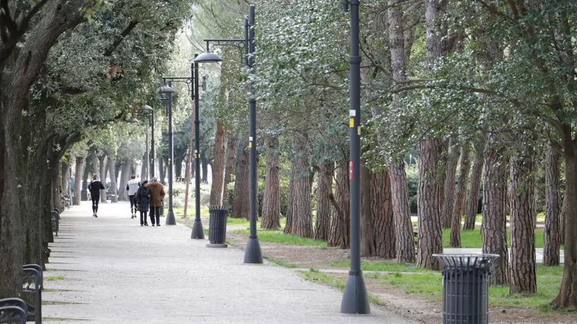 Lasorte Trieste 14/01/18 - Pineta di Barcola, Avviso su Alberi