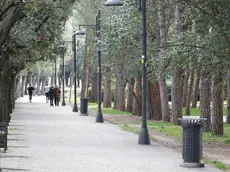 Lasorte Trieste 14/01/18 - Pineta di Barcola, Avviso su Alberi