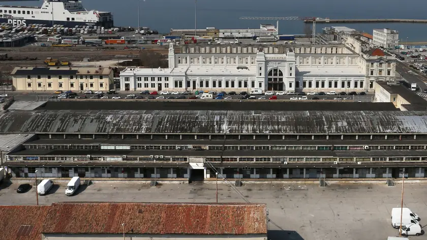 Lasorte Trieste 17/01/24 - Campo Marzio, Mercato Ortofrutticolo