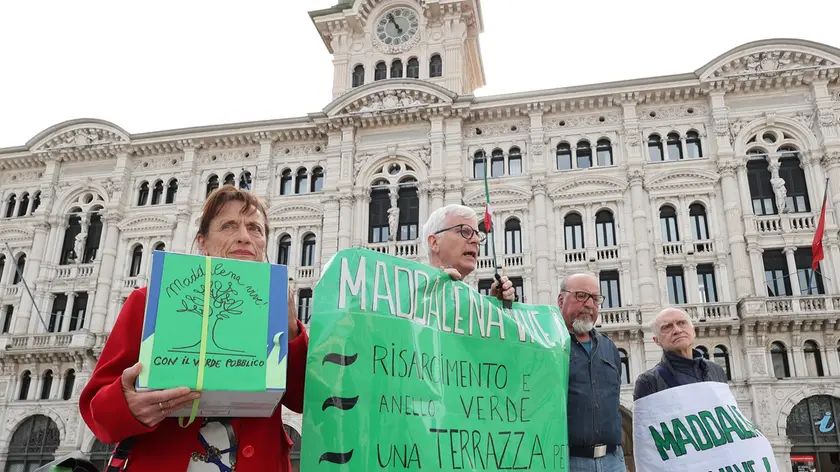 Gli animatori del Comitato Maddalena vive in piazza Unità Foto Lasorte