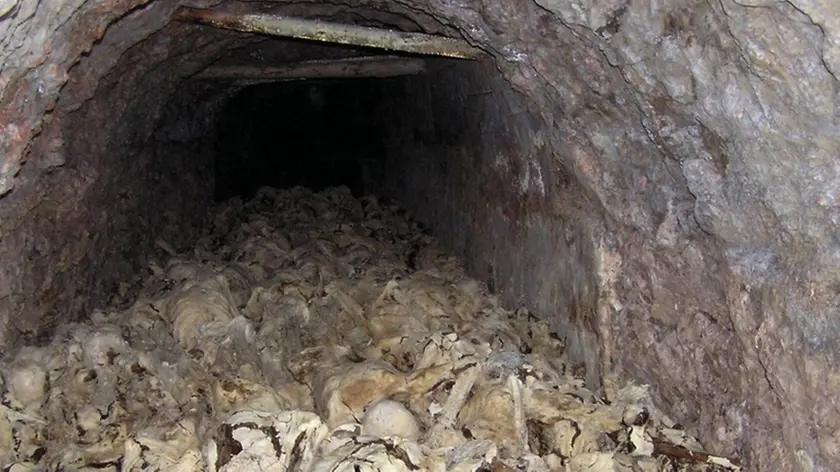 Resti umani trovati all'interno di una fossa comune in Slovenia