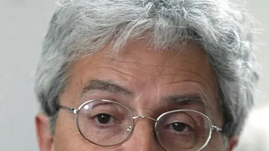 sterle trieste istituto triestino per interventi sociali debernardi presidente