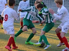Pulcini del Kras e del San Luigi durante una partita di campionato (foto dal sito Internet Nk Kras Repen)