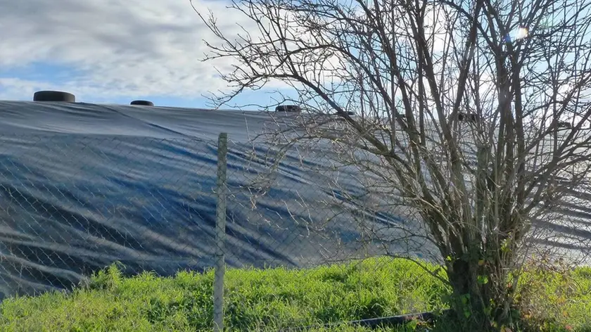 Bumbaca Gorizia 28.12.2019 Cormons discarica Pecol dei lupi sotto sequestro penale © Foto Pierluigi Bumbaca Bumbaca Gorizia 17.01.2020 Cormons discarica Pecol dei lupi sotto sequestro penale© Foto Pierluigi Bumbaca