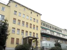 BRUNI TRIESTE 06 02 07 OSPED. BURLO GAROFALO