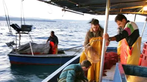 sterle trieste racconto di pesca