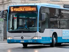 Un autobus della linea 6 della Trieste Trasporti