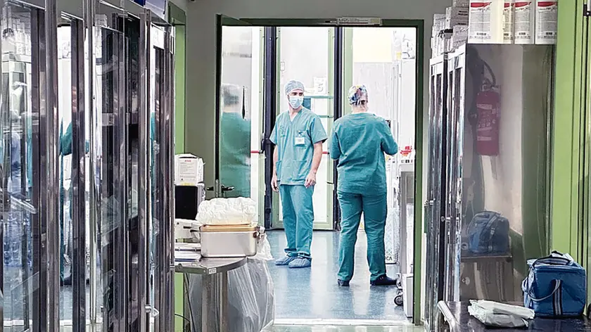 ZANETTI -AGENZIA BIANCHI- PADOVA- OSPEDALE VETERINARIO.