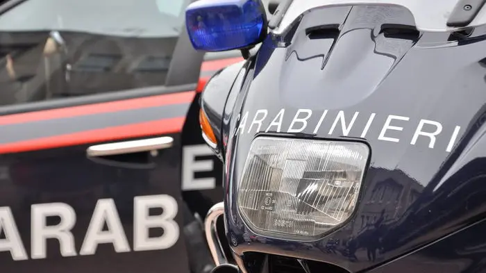 Le indagini sono state condotte dai carabinieri