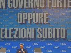 Il leader del Pdl Silvio Berlusconi in un momento del suo intervento alla manifestazione del partito a Bari, 13 Aprile 2013. ANSA/ CIRO FUSCO