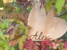 Il cuore in legno appeso all’albero dedicato ad Alex Muraro