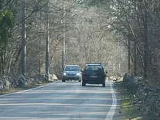 Lasorte Trieste 30 03 04 - Tratto di strada fra Campo Golf Padriciano e Campi Tennis Padriciano