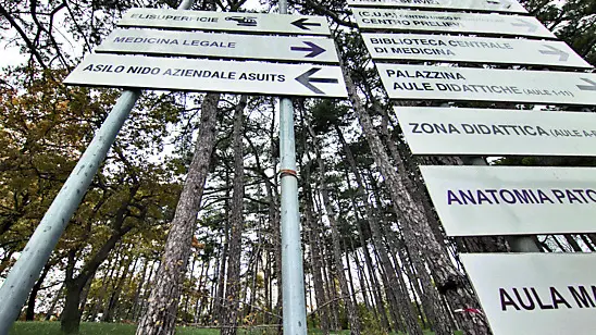 Nel servizio fotografico di Andrea Lasorte, l’avanzamento del cantiere dell’ospedale di Cattinara, con la base dell’imponente gru e la costruzione della palazzina dei servizi. Qui la pineta