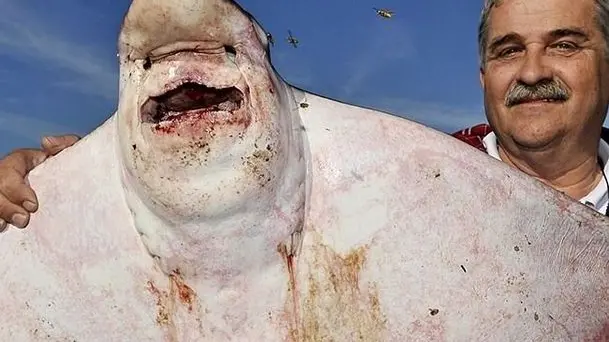 La vaccarella da 24 chili e il pescatore che l'ha catturata