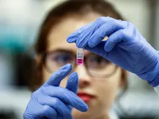 epa08303750 Brazilian scientist in the Immunology laboratory of the Heart Institute (Incor) of the Faculty of Medicine of the University of Sao Paulo, in Sao Paulo, Brazil, 17 March 2020 (issued 18 March 2020). Brazilian scientists develop a coronavirus vaccine with a different method than those used so far by the pharmaceutical industry and groups of researchers from other countries, who expect it to be tested on animals in the coming months. It is the current great challenge of the international scientific community and Brazil, as a power in Latin America, has joined this agonizing race to discover an effective immune response against the virus that has paralyzed half the world, although it has done so with a different approach. Meanwhile, Brazilians remain skeptical about the extent of this global pandemic in the country, where there are about 300 confirmed cases and at least one death from COVID-19. EPA/Sebastiao Moreira
