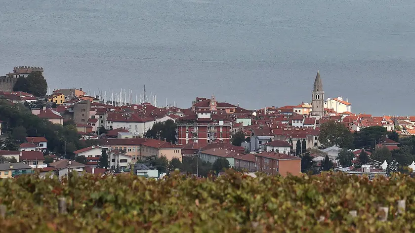 Una veduta di Muggia