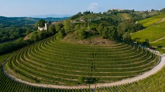 Suggestivo scenario del Collio italo-sloveno