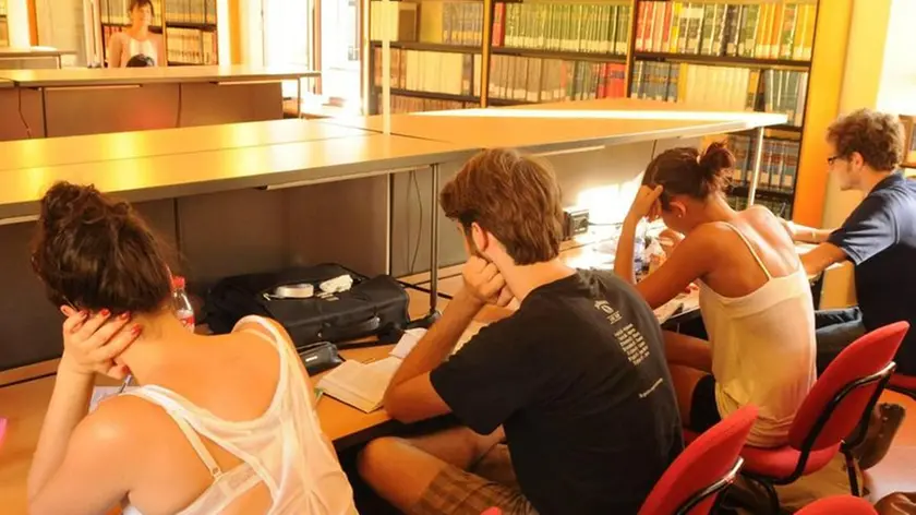 Studenti in biblioteca (Foto di archivio)