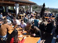 Foto BRUNI 30.03.2019 Agriturismo-Osmiza: Zidarich