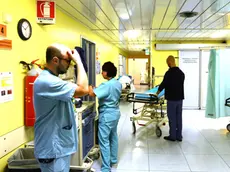 Foto Bruni Trieste 14.07.2018 Ospedalle Cattinara: pronto soccorso e corsie varie