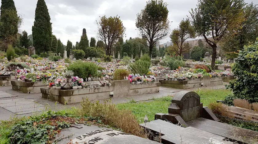 Lasorte Trieste 14/10/16 - Cimitero