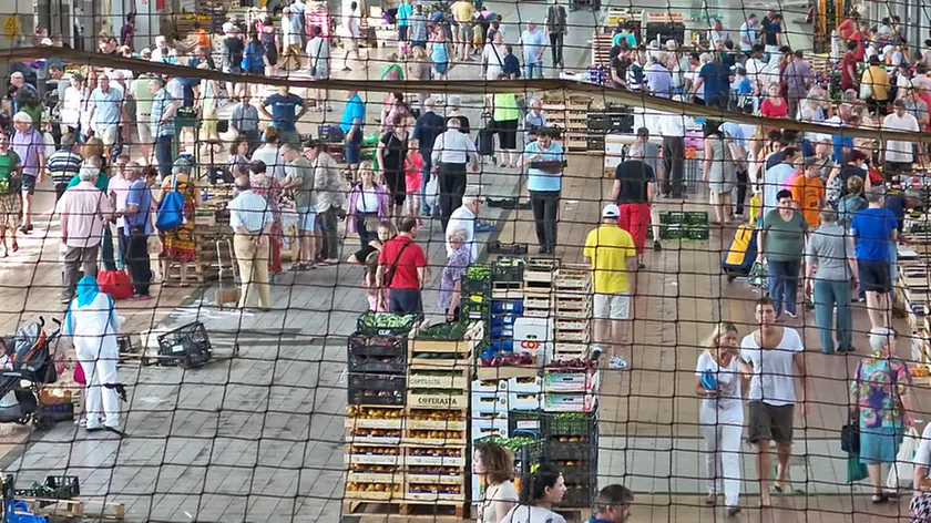 Lasorte Trieste 19/08/15 - Mercato Ortofrutticolo, Foto Giugno 2015