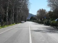 Viale Miramare deserto (Foto Bruni)