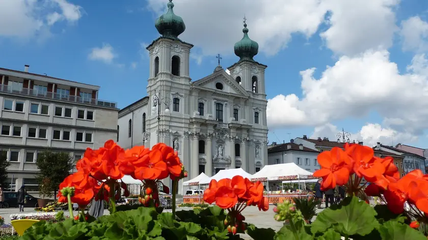 Bumbaca Gorizia 08.03.2018 Fiera Gorizia in fiore Piazza Vittoria© Fotografia di Pierluigi Bumbaca