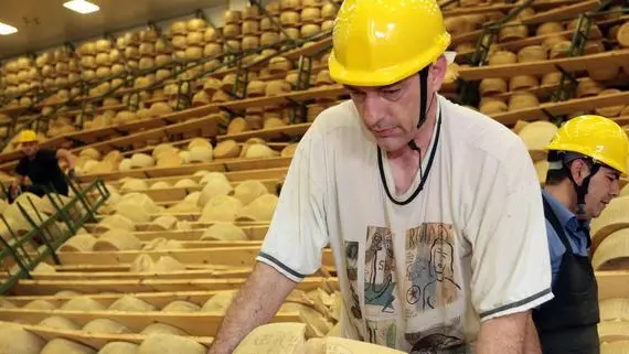 Le forme di Parmigiano-Reggiano rovinato dalle scosse sismiche messe in vendita a prezzo ribassato dalla cooperativa sociale "La Cappelletta" di San Possidonio in Provincia di Modena, 26 Maggio 2012.ANSA/ELISABETTA BARACCHI..