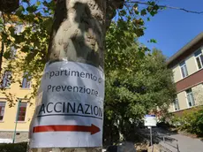 Un centro vaccinazioni dell'azienda sanitaria a Trieste (Foto di Francesco Bruni)