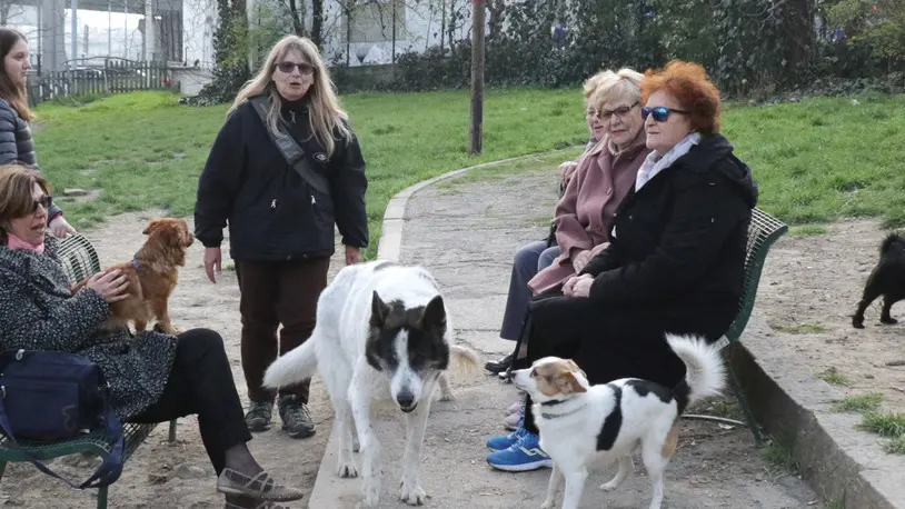 Lasorte Trieste 28/03/18 - Viale Campi Elisi, Area per Cani