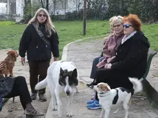 Lasorte Trieste 28/03/18 - Viale Campi Elisi, Area per Cani