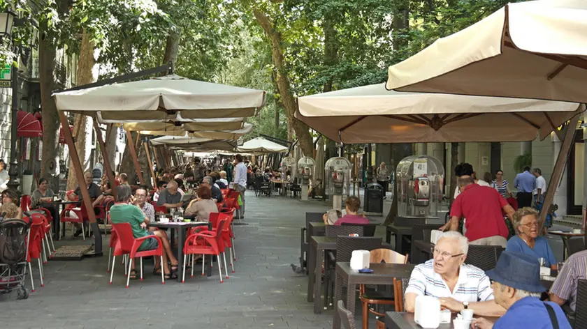 Al via la riqualificazione del patrimonio verde di viale XX Settembre (foto Lasorte)