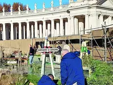 Gradesi all’opera in piazza San Pietro