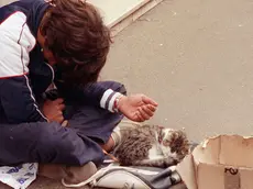 20050301 -GINEVRA - CRO - UNICEF: ALL'ITALIA PRIMATO POVERTA' BAMBINI TRA PAESI EUROPA - Nell foto d'archivio un ragazzino chiede l'elemosina in compagnia di un gattino in una strada del centro di Roma. L' Unicef, nel suo ultimo rapporto reso noto oggi a Ginevra, denuncia come nei Paesi piu' ricchi del mondo la poverta' infantile nell'ultimo decennio ha raggiunto la cifra recod di circa 50 milioni. All'Italia - aggiunge l'Unicef - spetta il triste primato del ''piu' alto tasso di poverta' infantile in Europa'', al 16,6%. MANIACI/ANSA/DEB