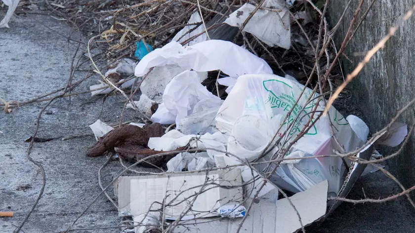 Bonaventura Monfalcone-15.02.2017 Rifiuti lasciati dai camionisti-Via III Armata-Monfalcone-foto di Katia Bonaventura