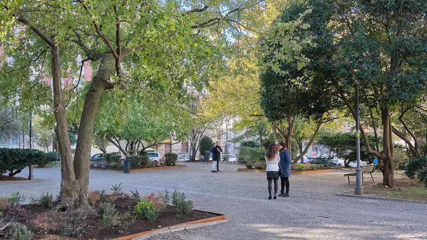 Il giardino di piazza Volontari Giuliani a Trieste Fotoservizio di Massimo Silvano