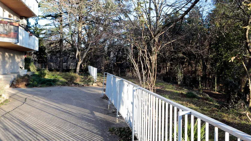Silvano Trieste 2019-02-06 Il giardino condominiale di via Giovanni Amendola 7