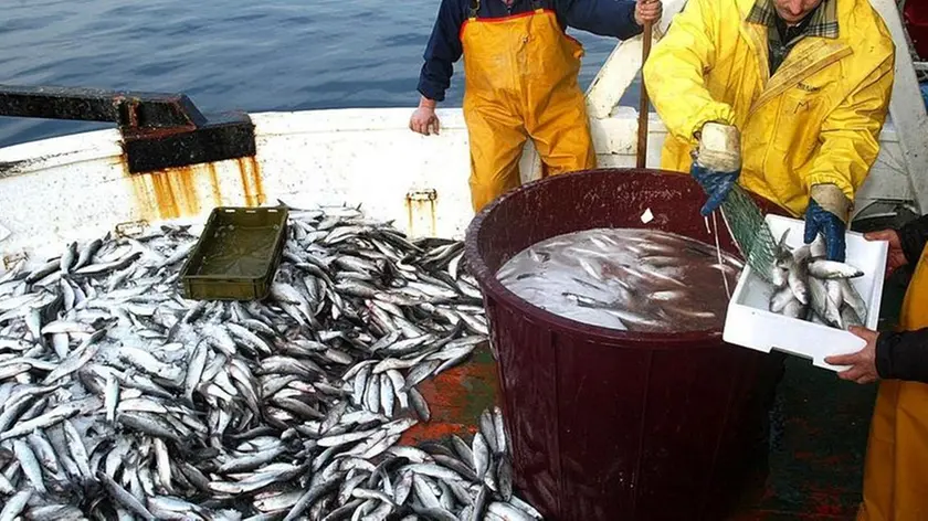 Tre giorni di Festa dei pescatori a Santa Croce